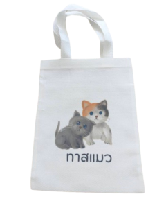 กระเป๋าผ้า สกรีนตามต้องการ ดีไซน์โมเดิร์น/เรียบหรู ขนาด A3
