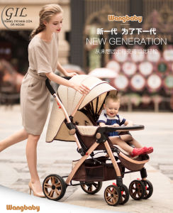 xe đẩy em bé đa năng 2 chiều