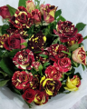 Benih Bunga Rose Jepun - 玫瑰种子 Mixed 6 Seeds Rose Flower Seeds Japanese Roses Plants Seeds for Planting Biji Benih Bunga Pokok Bunga Hidup Pokok Bunga Hidup Tahan Panas Bonsai Tree Live Plant Air Plant Real Plant Indoor Plants Flower Seeds Malaysia. 