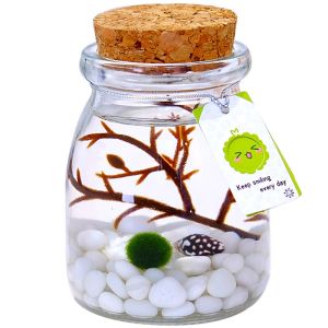 Hodepart COD มาริโมะ ของขวัญ ชุด 2 มอสบอล พร้อมเลี้ยง แถม อุปกรณ์ ครบ