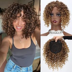REGISTR Middle Part Short Afro Kinky Curly Hair Toppers Hair Extension Clip In Synthetic Hair Bangs Seamless Natural Thinning Hair Topper for Black Women
