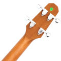 Paramount AB361E Acoustic Bass กีตาร์เบสโปร่งไฟฟ้า กีตาร์เบสโปร่ง 36" / 20 เฟรต ไม้สปรูซ/มะฮอกกานี ปิ๊กอัพ 3-Band จูนเนอร์ในตัว ** ประกันศูนย์ 1 ปี **. 