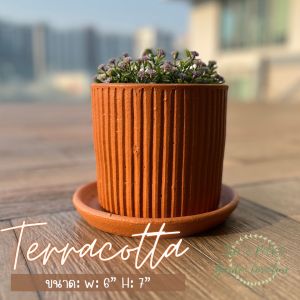 กระถางต้นไม้ดินเผาพร้อมจานรอง ลายลอนเล็ก มี 3 ขนาด รุ่น 6 นิ้ว รุ่น 8 นิ้ว และรุ่น 10 นิ้ว กระถางเนื้อหนา แข็งแรง ทนทาน สวยมากค่ะ