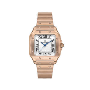(1 Year Warranty) Daniel Klein  Womens Analog Watch DK.1.13583 Stainless Steel Strap