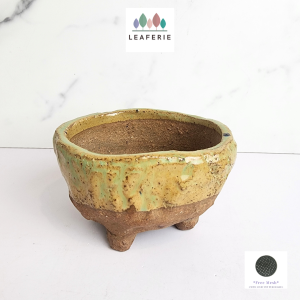 The Leaferie Handmade MILA plant pots Terracotta flowerpot flowerpots flower pot planter planters