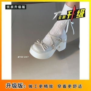 Free Shipping Spring And Autumn Season Chunky Heels 2026 Style Paired With Small Leather Shoes Single Shoes High Heels Height-Increasing Shoes WomenS Dress Shoes Thick-Soled New Style