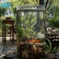 Bình Thủy Tinh Trụ Tròn Dùng Làm Hồ Cá Bể Cá Để Bàn D24 x H30 cm Tặng Kèm Mô Hình Rong Giả Và Sỏi Trang Trí. 