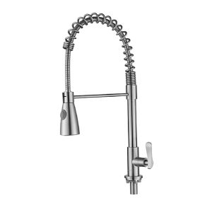 Stainless Steel Kitchen Sink Cold Tap (Pull Out Spray)