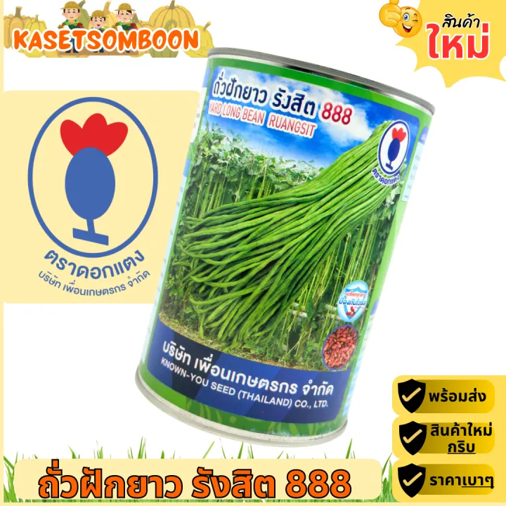 เมล็ดพันธุ์ถั่วฝักยาว รังสิต 888 ตราดอกแดง ปลูกได้ตลอดปี