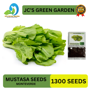 (1300 SEEDS) - MUSTASA SEEDS/MONTEVERDE/30DAYS HARVEST/MORE PROFIT/EASY TO GROW