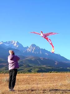 Mn♢Diều Hình Chim Phượng Hoàng Đuôi Dài Nhiều Màu Sắc Cho Người Lớn Và Trẻ Em3/25