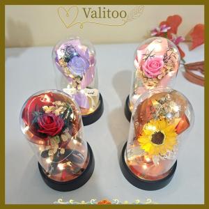 [Valitoo] 1 Set Eternal Rose Light Soap Flower In Acrylic Cover LED Valentine Day Gift For Girlfriend Mothers Day Wedding Bridesmaid Gift