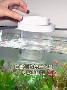 Set of 3 Floating Fish Breeder Box Aquariums Nursery Chamber Isolation Box for Betta Guppy Shrimp and Clownfish Safe