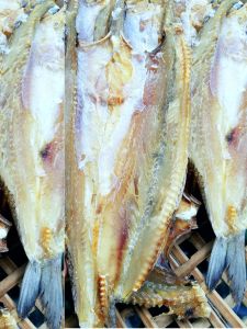 1kg Khô Cá Mối Trắng-rán giòn chấm mắm ăn cơm nóng tuyệt vời