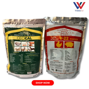 1kg Cecical Powder + 1 kg V22 Powder cecical calcium powder 1 kg belman laboratory products belman laboratories for pigs