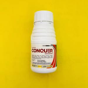 Insektisida kontak mengendalikan wereng batang coklar CONQUER 100/200SC isi 250ml dari JAI