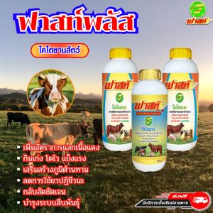 เสริมสร้างภูมิคุ้มกัน สัตว์แข็งแรง สุขภาพดี อาหารเสริมและวิตามินสำหรับสัตว์ ฟาสท์ริช168 ไคโตซานฟาสท์พลัส1ขวด+ไคโตซานฟาสท์2ขวด สินค้าพร้อมจัดส่ง