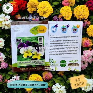 Benih Bibit Bunga Viola Helen Mount Johnny Up Haira Seed - HELEN MOUNT JOHNNY JUMP UP