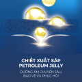 Son dưỡng môi vaseline bộ cao cấp 4.8g. 