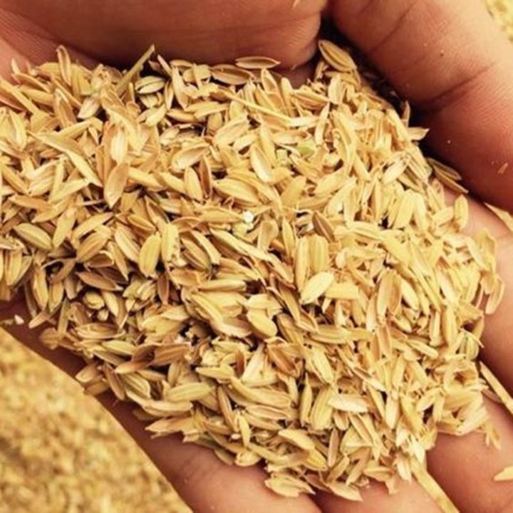 Fresh rice husk, grain husk, coarse bran husk, rice husk, pillow core ...