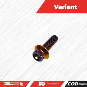 Baut Breket Kaliper M8 x 25  Baut Probolt Sambungan breket kaliper ke bottom shock Universal