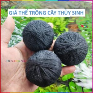 Giá thể trồng cây thủy sinh cây cắt cắm tiểu bảo tháp...(1 Viên)