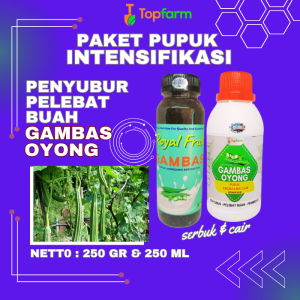 Pupuk Pelebat Buah Gambas / Pupuk Booster Oyong / Pupuk Pelebat Buah Oyong / Pupuk Oyong / Pupuk Buat Oyong Emes / Pupuk Pelebat Buah