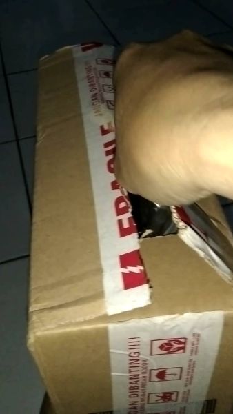 Buyer review video 5