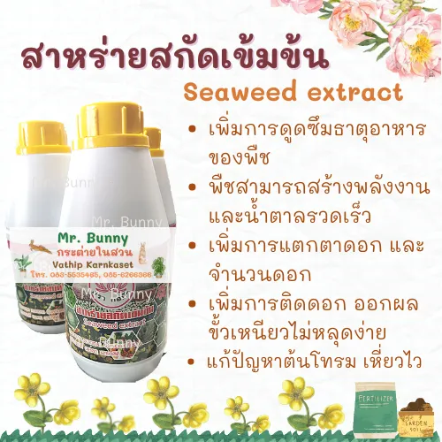 Mr.bunny สาหร่ายสกัดเข้มข้น Seaweed extract บำรุงดอกสด ผลดก