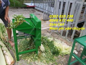 Máy băm cỏ voi băm bèo tây rau muống 15kw Toàn Phát
