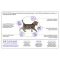 PROPLAN KITTEN 400 gr Cat Food Pro Plan Kitten 400gr Catfood Makanan Anak Kucing Murah. 