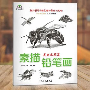 All 8 Volumes of Sketch Pencil Drawing Hand Drawn Freshmen From Beginner to Proficient Art Book Sketch Set 8册素描铅笔画 动物人物花卉昆虫水族篇零基础手绘新手教材正版