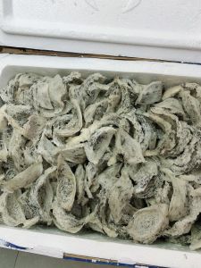20g tổ yến sơ chế rút lông nguyên tổ_yến sào nha trang+nguyên liệu chưng