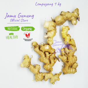Lempuyang Emprit Segar 1kg Organik dari Lereng Gunung Kidul