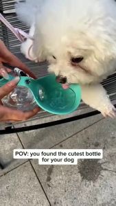 PETWELL Pet Portable Water Bottle Easy Drinking Bowl Design 285ML Convenient for Walk Trip Suitable