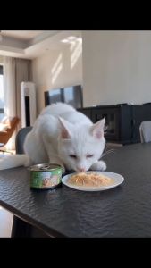 85g KEYF SOUP CAN TUNA Wet Cat Food Soupy Mealtime Topper