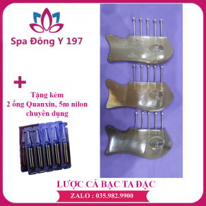 LƯỢC CÁ BẠC TA ĐẶC CHẤT LƯỢNG | Kèm quà tặng 1 lọ td gừng 10 ml 2 ống quanxin 2 mi li nông trải nghiêm.