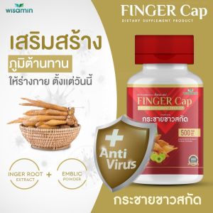 ซื้อ 1แถม1 FINGER CAP กระชายขาวสกัด บรรจุแคปซูล ผสมมะขามป้อม (ฟีงเกอะ แคป) สินค้าแพคคู่ -2 กระปุก- ปริมาณรวม 60 แคปซูล ทานได้ 2 เดือน