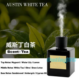 OutingSG® Automatic Fragrance Spray – Long-Lasting Indoor Essential Oil Diffuser for Home Hotel Bedroom Restroom Deodorizing 500ML