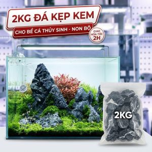 2Kg Đá Kẹp Kem Thủy Sinh (4-25cm) - Đá Trang Trí Bể Cá Setup Layout