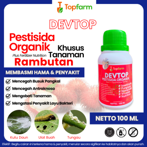 Obat Semut Hitam Dipohon Buah Rambutan / Obat Semut Paling Ampuh / Obat Semut Semprot / Obat Semut Pada Buah Rambutan /  Obat Hama Penyakit Jamur Dan Semut Dipohon Rambutan