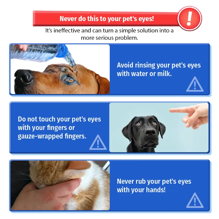 Runny Nose What To Do When Dogs Have Colds Nose Drip Dog's Nose Is Wet And  Cold Running Nose Dog Cold