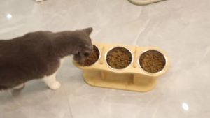 Elevated Cat Bowls Raised Wood Stand Feeder with 3 Stainless Steel Bowls Feeding & Watering Supplies for Puppy Cats Accessories2026