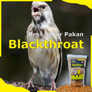 Trisakti Bird Farm Untuk Pakan Burung Blackthroat Sanger dan Mozambik Harian dan Lomba Kemasan 500 Gram