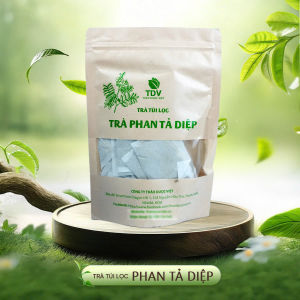 Combo 50 gói Trà túi lọc Phan Tả diệp - Hàng công ty Thảo Dược Việt