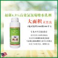 Lipan Lalat Lipas Kutu Pepijat Serangga Semut Tepi Luar Rumah Repellent Insect Repellent Spray 家用杀虫剂灭蚊药苍蝇蟑螂跳蚤室外植物. 
