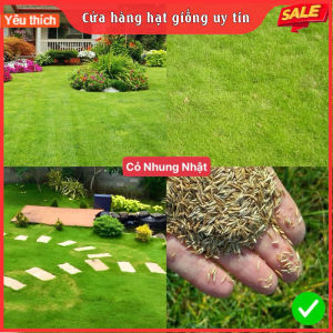 Combo 2 gói Hạt giống cỏ nhung nhật cỏ thảm cảnh 50gram/gói