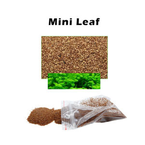 Aquatic grass seed Aquarium plant seeds Aquatic carpet plant grass seeds for aquarium decoration
