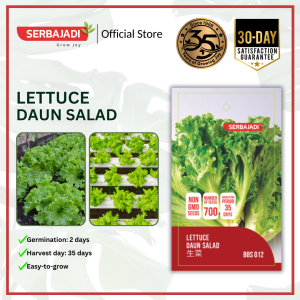 Biji Benih Sayur Daun Salad - Vegetable Seed Lettuce SERBAJADI / Hydroponic Salad Seeds - 1g/pack Approx. seeds 700 pcs