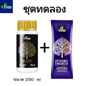 โฟร์ทรี 4Tree 1 ซอง + อะมิโนแบล็ค Amino Black 250 ml ชุด​ระเบิดหัวมัน (เล็ก) เร่งราก เพิ่มน้ำหนัก​ สร้าง​แป้ง​ ใช้ได้ 4-5 ไร่ ของแท้​ 100%